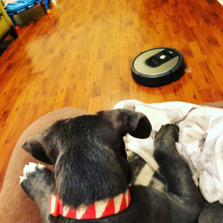 roomba odin roomba odin